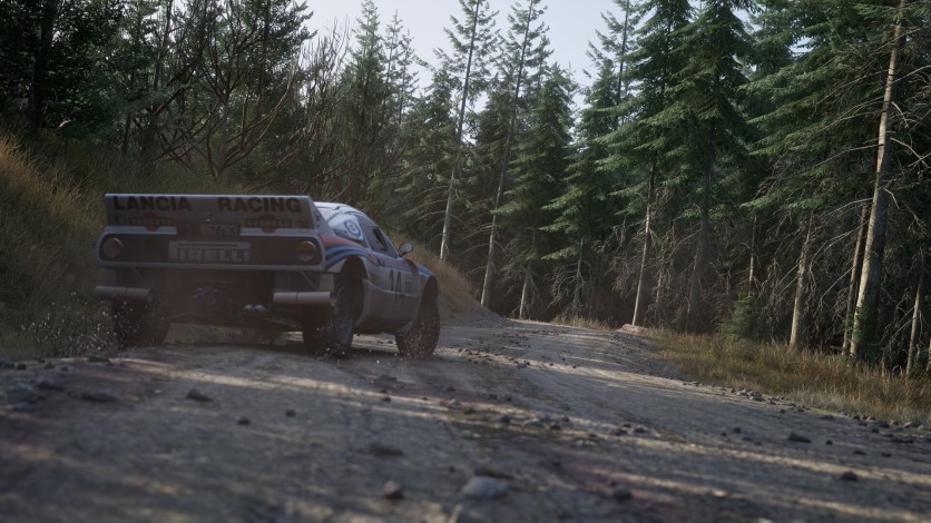 Captura de pantalla 19 - Assetto Corsa Rally