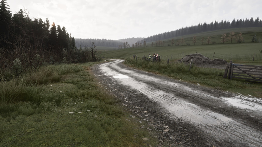 Captura de pantalla 38 - Assetto Corsa Rally