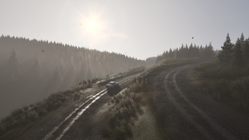 Captura de pantalla 49 - Assetto Corsa Rally