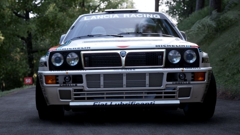 Captura de pantalla 58 - Assetto Corsa Rally