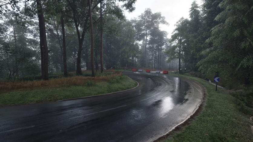 Captura de pantalla 46 - Assetto Corsa Rally
