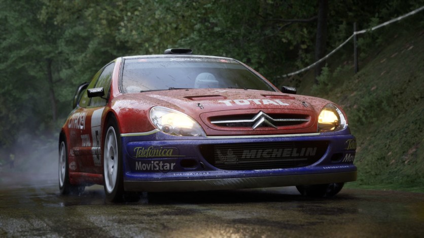 Captura de pantalla 3 - Assetto Corsa Rally