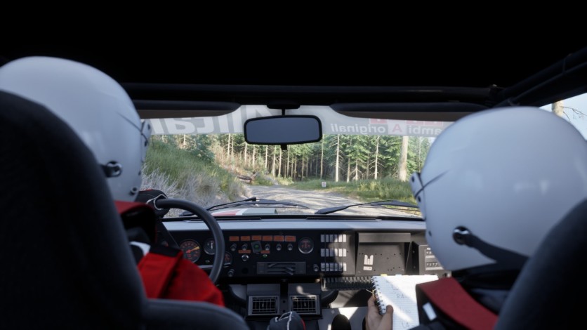Captura de pantalla 20 - Assetto Corsa Rally