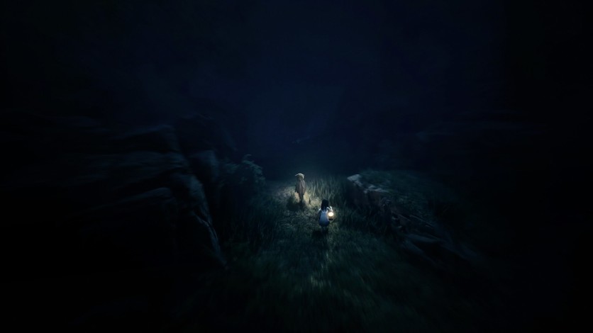 Screenshot 5 - REANIMAL