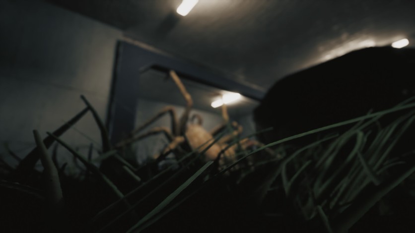 Captura de pantalla 1 - Huntsman