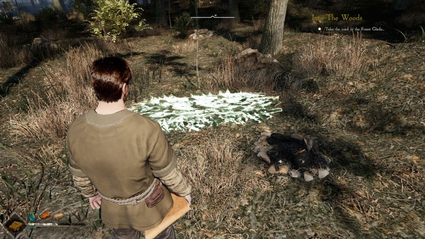 Screenshot 8 - Tales of Old: Dominus